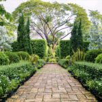 Reclaimed brick pathway running through a formal planted garden in Allenton