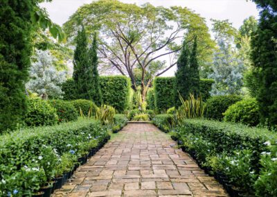 Reclaimed brick pathway running through a formal planted garden in Allenton