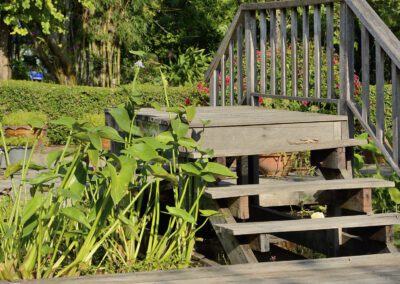 Timber steps leading to a small deck beside a garden pond in Kegworth with aquatic planting