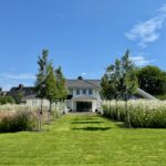 Garden maintenance in Quarndon with a striped lawn and maintained borders around a formal garden approach