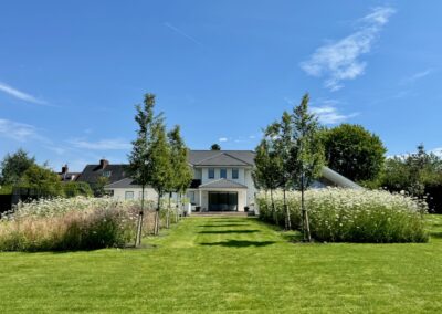 Garden maintenance in Quarndon with a striped lawn and maintained borders around a formal garden approach