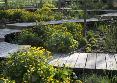 Raised timber decked path weaving through a boggy area of a large garden in Duffield, Derbyshire