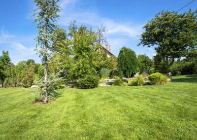 Garden maintenance in Ticknall with a large mown lawn and maintained trees and shrubs