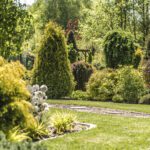 Garden maintenance in Willington with mown lawn, maintained borders and neatly pruned shrubs