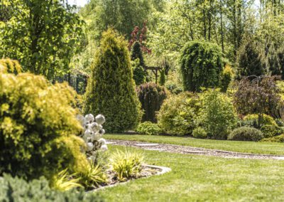 Garden maintenance in Willington with mown lawn, maintained borders and neatly pruned shrubs