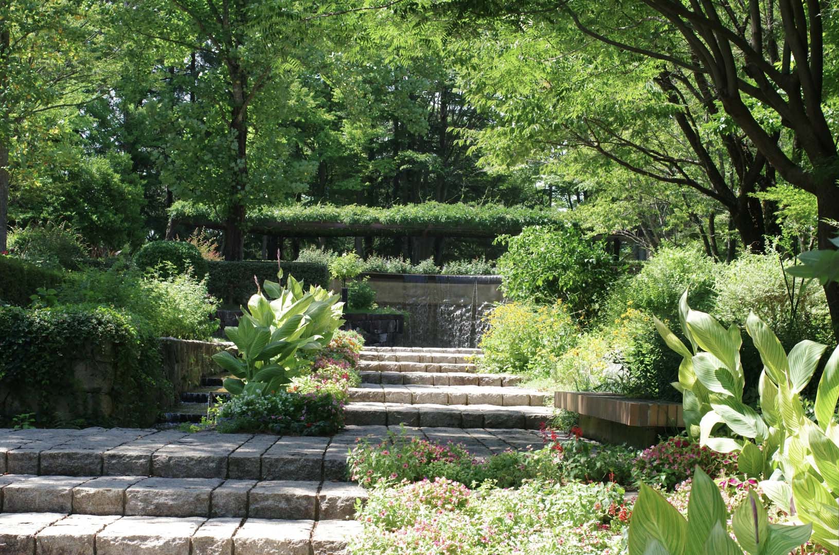 Garden maintenance in Aston-on-Trent with stone steps, tidy borders, shrubs and seasonal planting