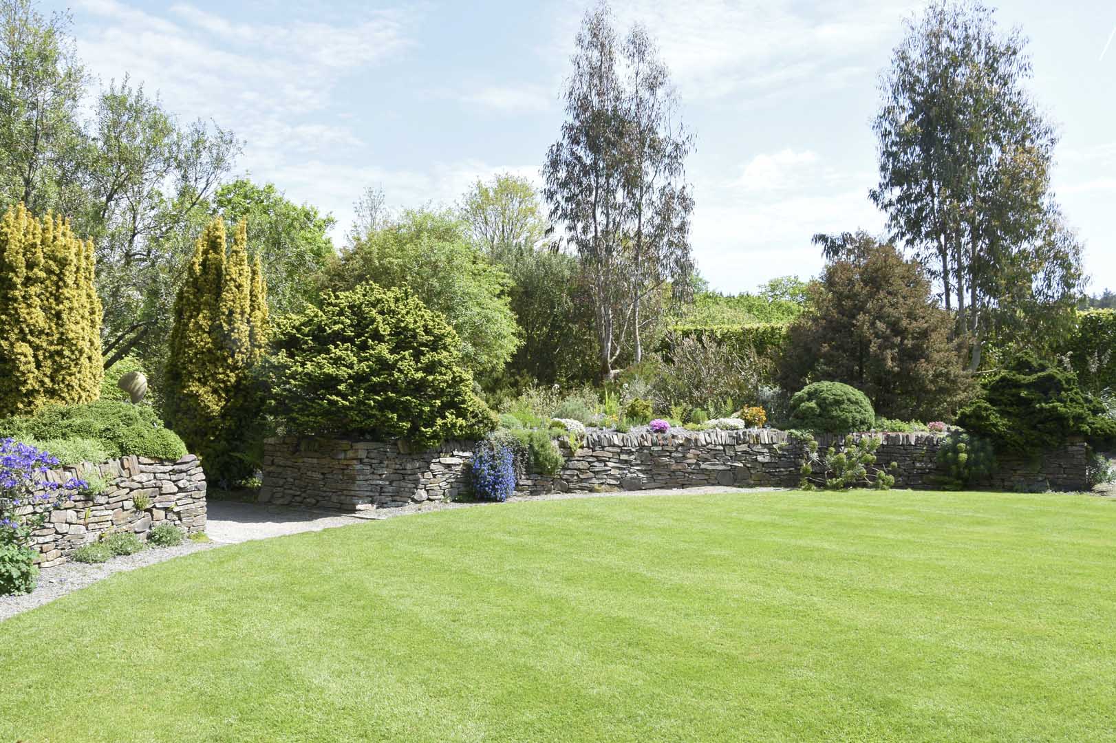 Gardening in Borrowash with a crisp lawn, stone border walls and shaped shrubs