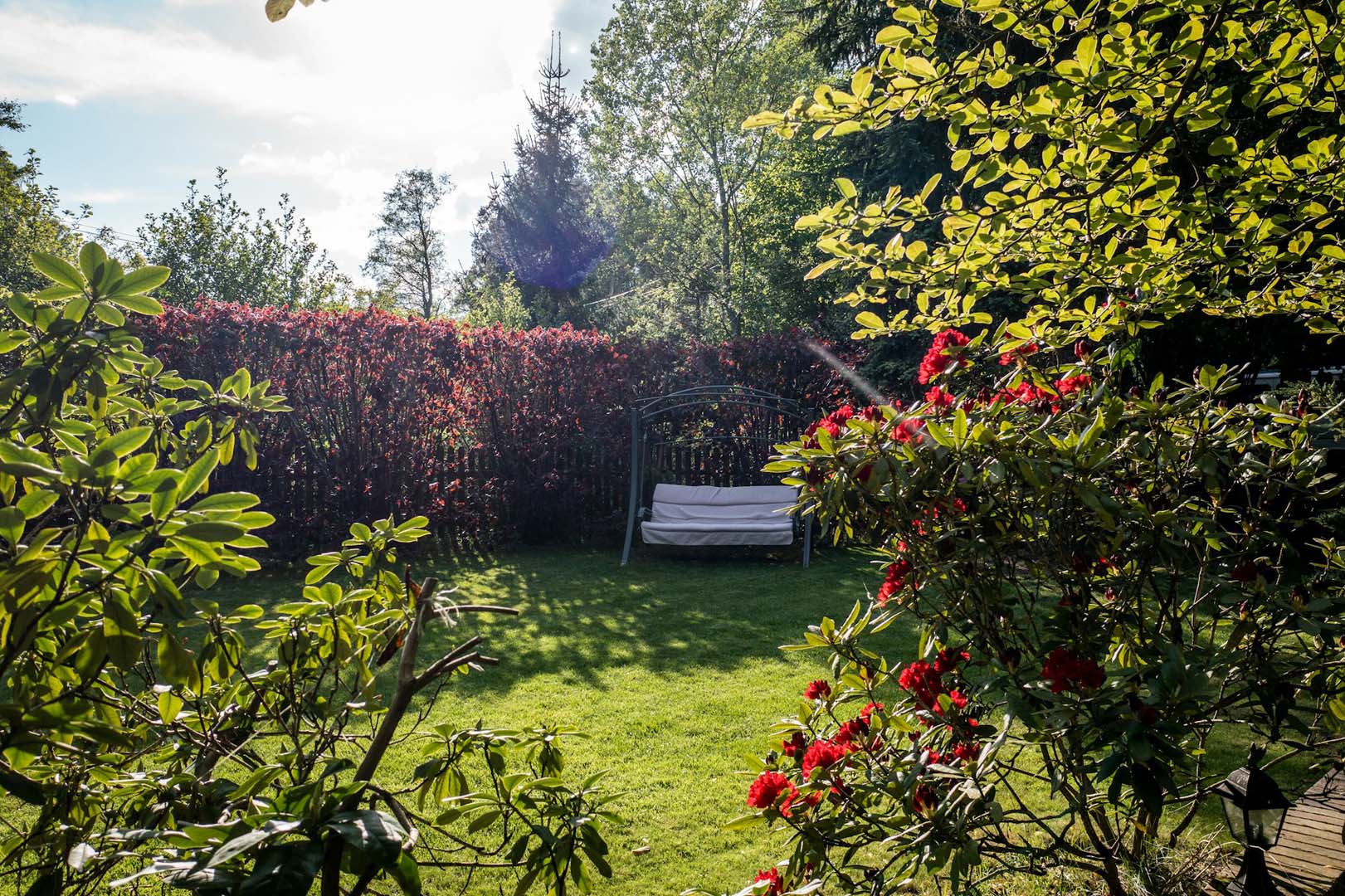 Garden maintenance in Long Eaton with a tidy lawn, established shrubs and a seating area set in a screened garden