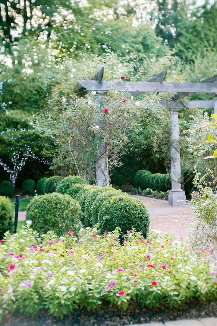 Garden maintenance in Melbourne with a curved gravel path, tidy lawn edge and maintained mixed borders